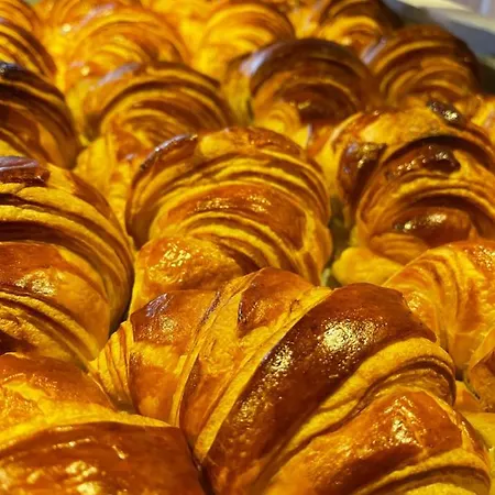 Hotel Logis Hotel-restaurant Le Commerce Rieupeyroux (Aveyron)