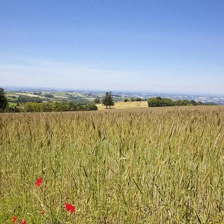 Logis Hotel-restaurant Le Commerce Otel