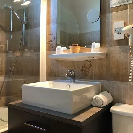 Logis Hotel-restaurant Le Commerce Otel Rieupeyroux (Aveyron)